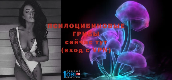 ALPHA PVP Белокуриха