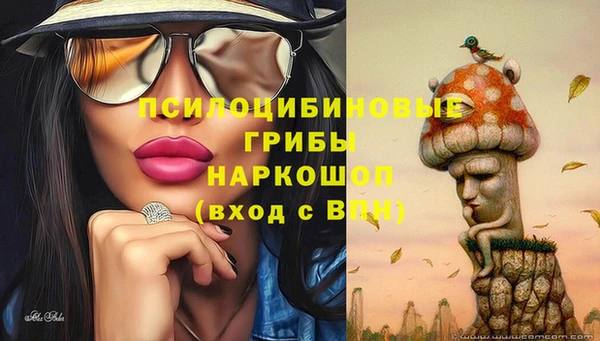 прущие крисы Беломорск