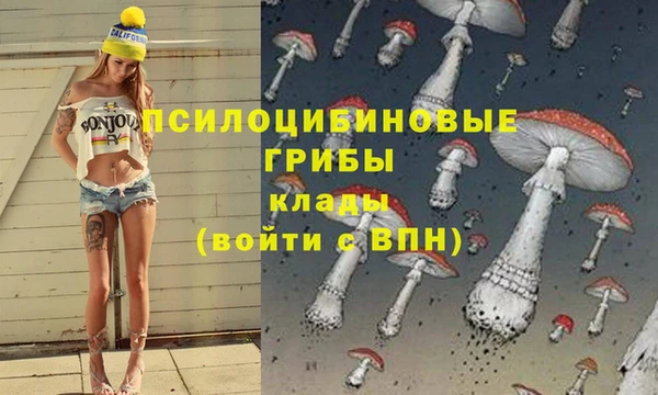 эйфоретик Белоозёрский
