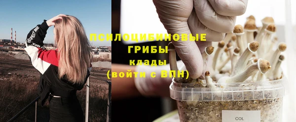 эйфоретик Белоозёрский