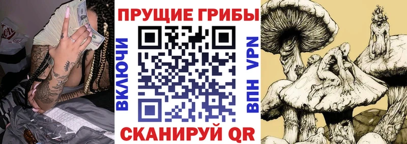 Галлюциногенные грибы мухоморы  shop Telegram  Обь 